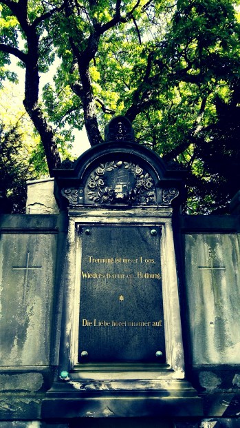 IMG_20160831_121921_resized_20160831_013104049